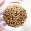 오메가3 태양광발전소 이미지