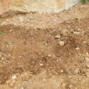 로즈마리 관광펜션 이미지