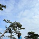 [경주 감포/여행 코스] 경주 감포 1박 2일 여행 코스 추천