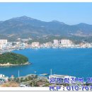 완도참전복 이미지