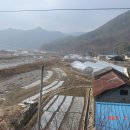 유촌1리 이미지