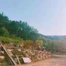 민지네 농장 이미지