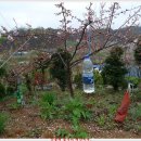 수형농장 이미지