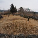 동광리-11 Daum카페