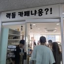 랙돌카페냐옹 이미지