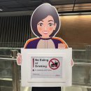 (주) 수퍼트리 | 싱가포르여행 가볼만한곳 하지레인 가든스바이더베이 슈퍼트리쇼 시간 후기