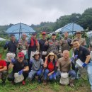 내촌면행정복지센터 이미지