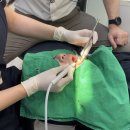 탄탄기공소 이미지