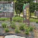 꼬막체험요리및장도웰빙꼬막정식 네이버블로그