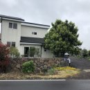 머무른채 이미지