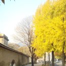 종로-종로-종로-종-276 이미지