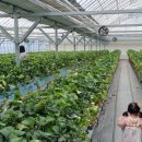 형식농장 이미지