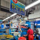 함안활어 이미지