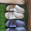 써니힐 민박 | 마라도민박 마라도써니힐 큰 채 예약 방문 후기