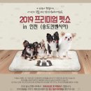 쇼플랜컴퍼니