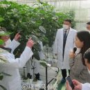 도시농업-스마트팜 전문가 과정 이미지