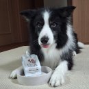 희석목장 이미지