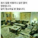 손에 박힌 가시 빼는 방법 이미지