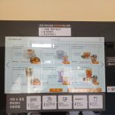 트렌드잇 카페24 이미지