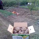 종신농장 이미지