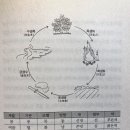 동의보감 이미지