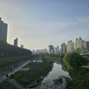 서강직업전문학교신도림캠퍼스 | 서강직업전문학교 신도림캠퍼스, 사회복지현장실습·경비신임교육·경비지도사 국비과정 모집…취업...