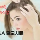 삼부의원 이미지