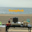 플로리다 대탄 이미지