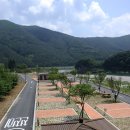 영월 동강오토캠핑장 이미지