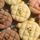 꼬마곰놀이터
