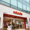 셀렉토커피용인신 | 신논현역 24시 카페 셀렉토커피 카공하기 좋은 곳