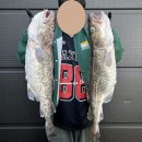 생선왕
