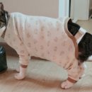 그루밍공방 이미지