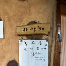 전북진안여행 용담호 숙소추천, 토담펜션(사랑채, 별채 후기, 가족여행)