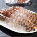 오도리 티스토리