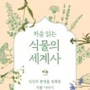 이상한 식물나라 이미지