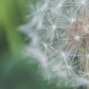 리움피부과의원 이미지