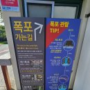 천제연폭포 | 천제연폭포 후기(+ 제 1~3 폭포 사진, 관람료, 관람 유의사항, 제주도여행)