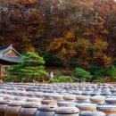 뒤웅박고을 이미지