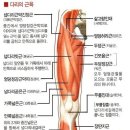 브로쥬아 이미지