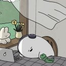 레이아웃 이미지