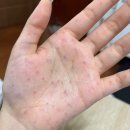 세란마취통증의학과의원 이미지