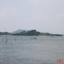 여도 Daum백과