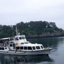 백필농장 이미지