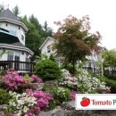 토마토 수영장 이미지