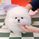 Eo옥탑방 티스토리