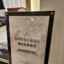 아실리코리아 | 알레르망 스핑크스 뉴포트 매트리스+아실리 프레임 내돈내산 2달 사용 후기
