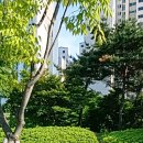 장자대로 이미지