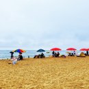 망상오토캠핑리조트 이미지