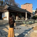 에스제이앤(SJ&) | 오랜만에 한섬 쇼핑 : SJSJ 플리츠 퀼로트 팬츠 SJ2D8WPC815W_CA 착샷 후기